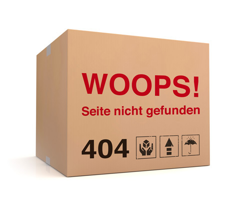 Umzugskarton mit Beschriftung: WOOPS! Seite nicht gefunden 404