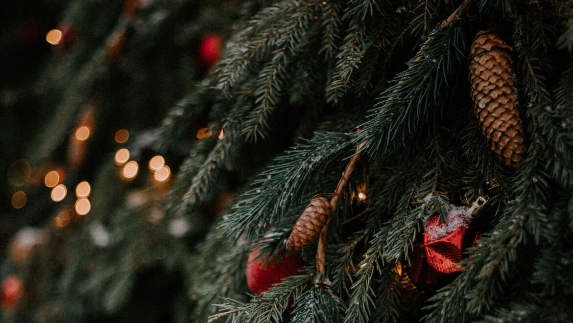 Woolworth – Weihnachten kann so günstig sein! | Adventskalender zum Befüllen