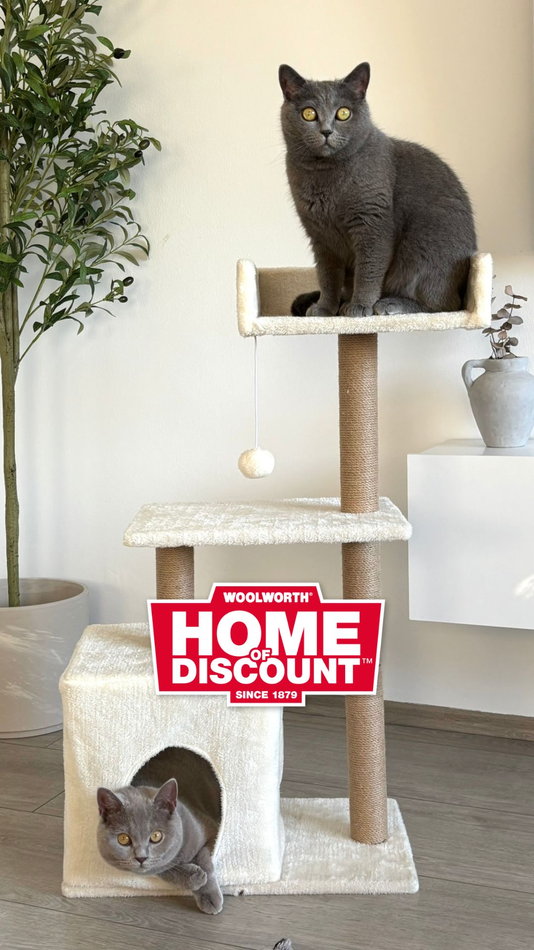 🐱🧶 Alles für deine Katze! 🧶🐱 Ob Spielen, Klettern oder Fressen – hier findet deine Katze alles, was&hellip;