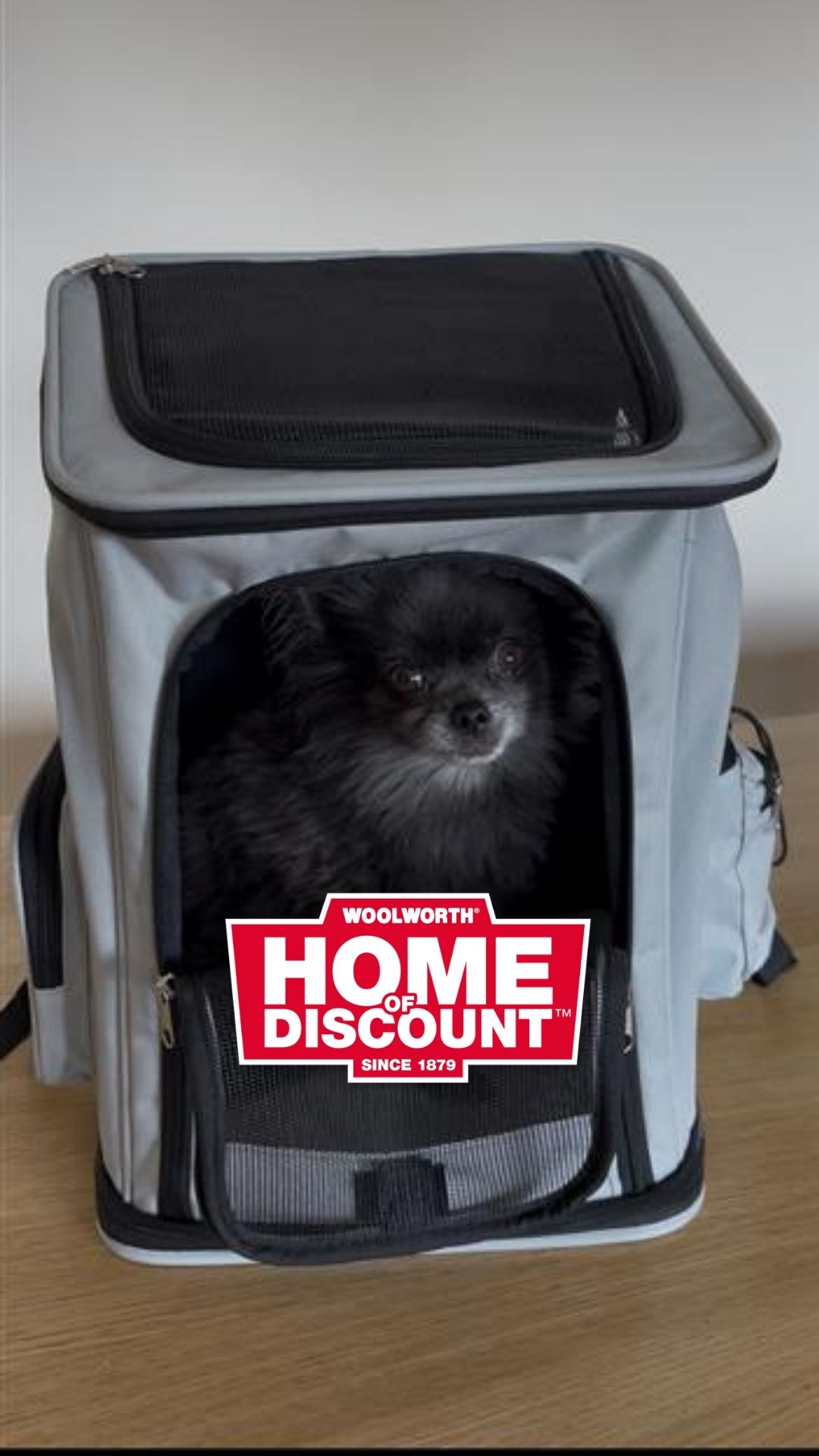 🎒🐶 Praktisch unterwegs mit deinem Vierbeiner! 🐶🎒 Mit einem Hunderucksack bist du bestens für&hellip;