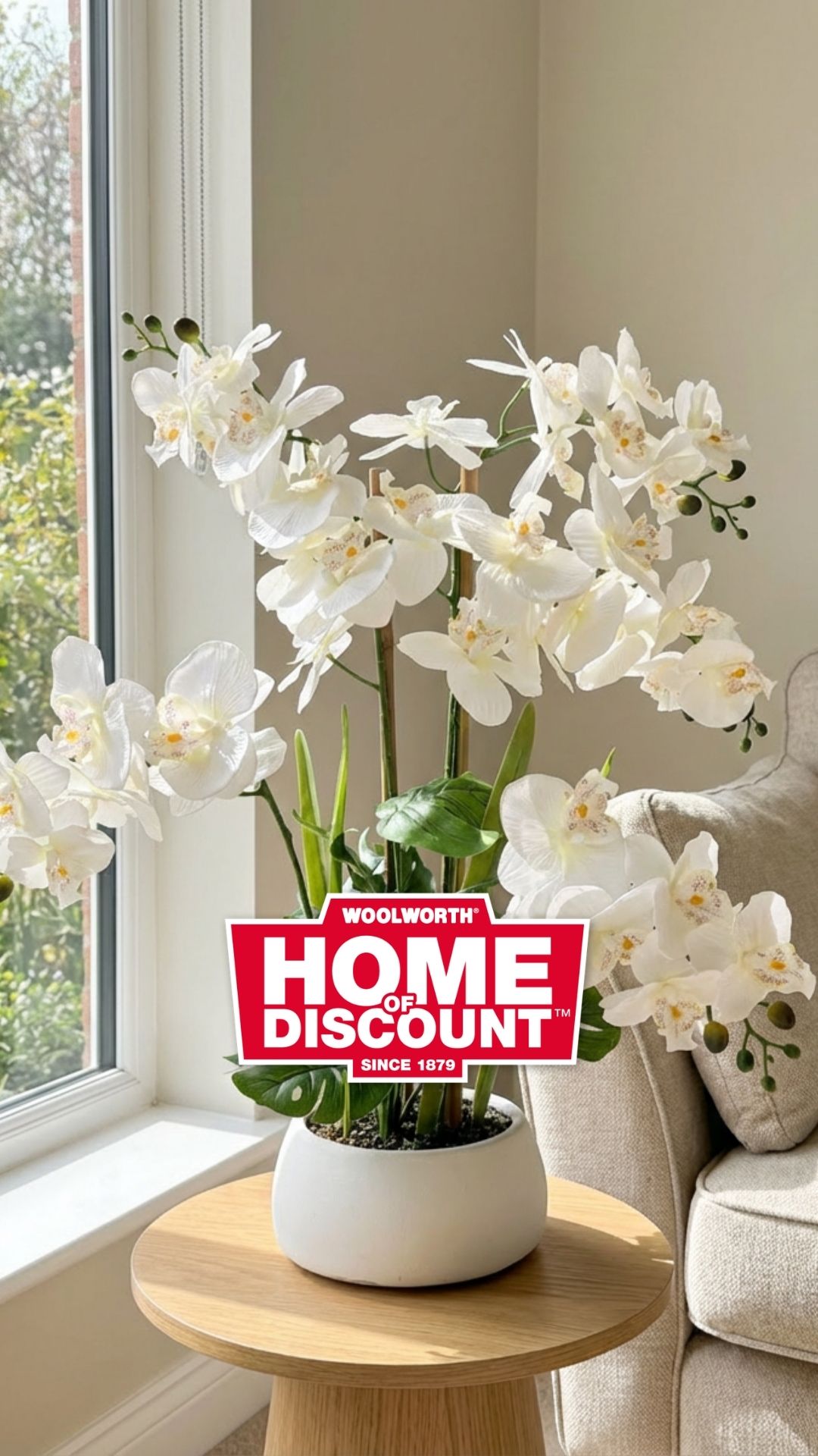 🌸✨ Eleganz für dein Zuhause! ✨🌸 Diese stilvolle Orchidee bringt mit ihren zarten Blüten eine ruhige&hellip;