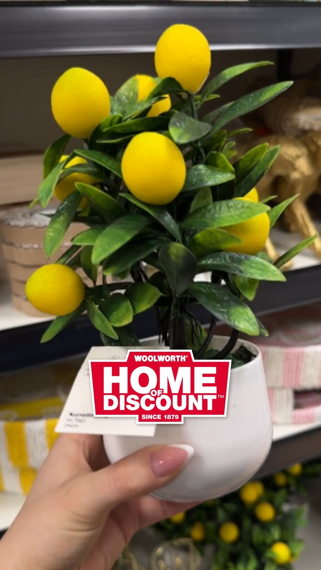 🍋✨ Frische Vibes für dein Zuhause! ✨🍋 Mit zitroniger Deko bringst du sofort Sommerstimmung in&hellip;