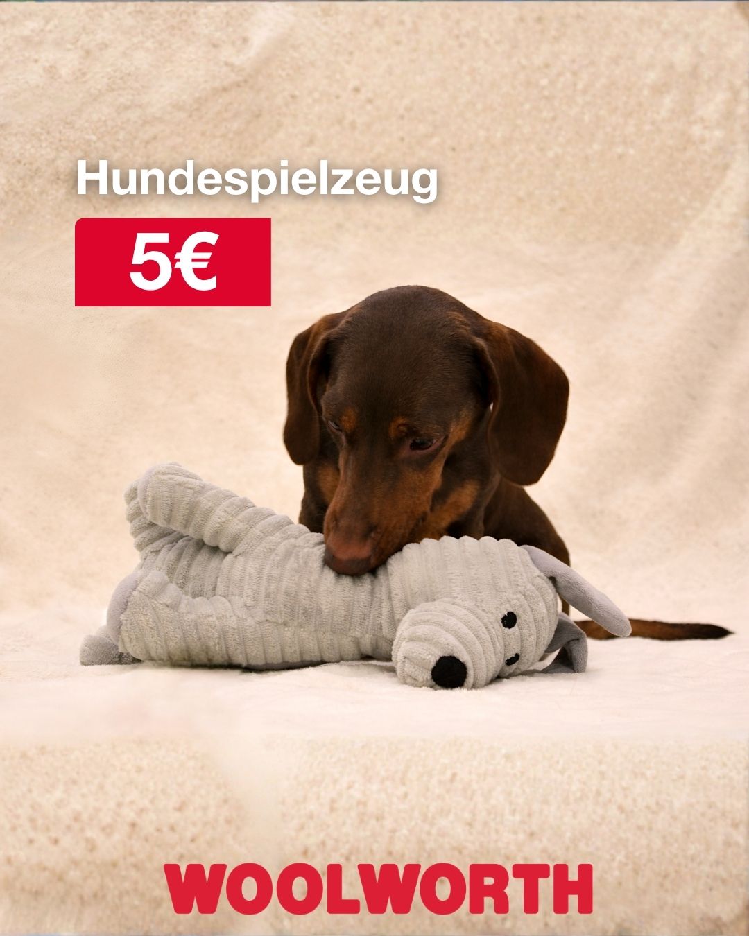 🐶✨ Spielspaß für deinen Vierbeiner! ✨🐶 Ob zum Kuscheln, Zerren oder Herumtollen – dieses süße&hellip;